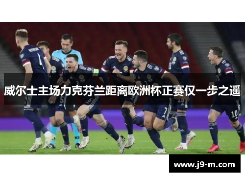 威尔士主场力克芬兰距离欧洲杯正赛仅一步之遥 威尔士主场力克芬兰距离欧洲杯正赛仅一步之遥
